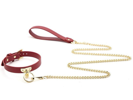 JCW Red and Gold Collar & Leash